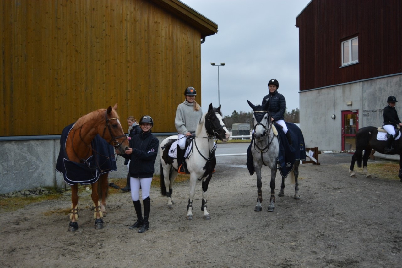 Julestevne på Epona 22-24. November 2019